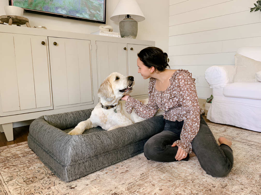 Comfortable Beds for Every Pet